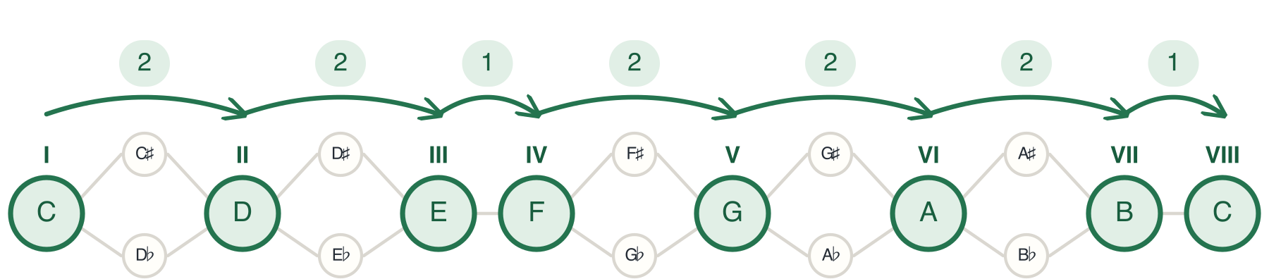 C Major Scale Showing Steps and Degrees